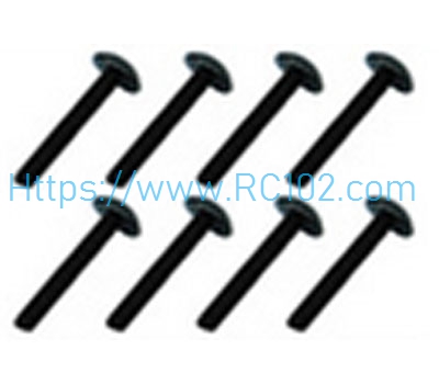 [RC102]W12071 hexagonal T-head machine thread TM2.5*14 FEIYUE FY03 RC Car Spare Parts - Click Image to Close